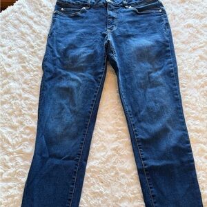Tahari Classic Indigo Skinny Jeans